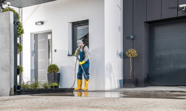 Spring Cleaning in Tierra Verde, FL